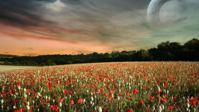 为什么现在的年轻人都不相信养儿防老了？